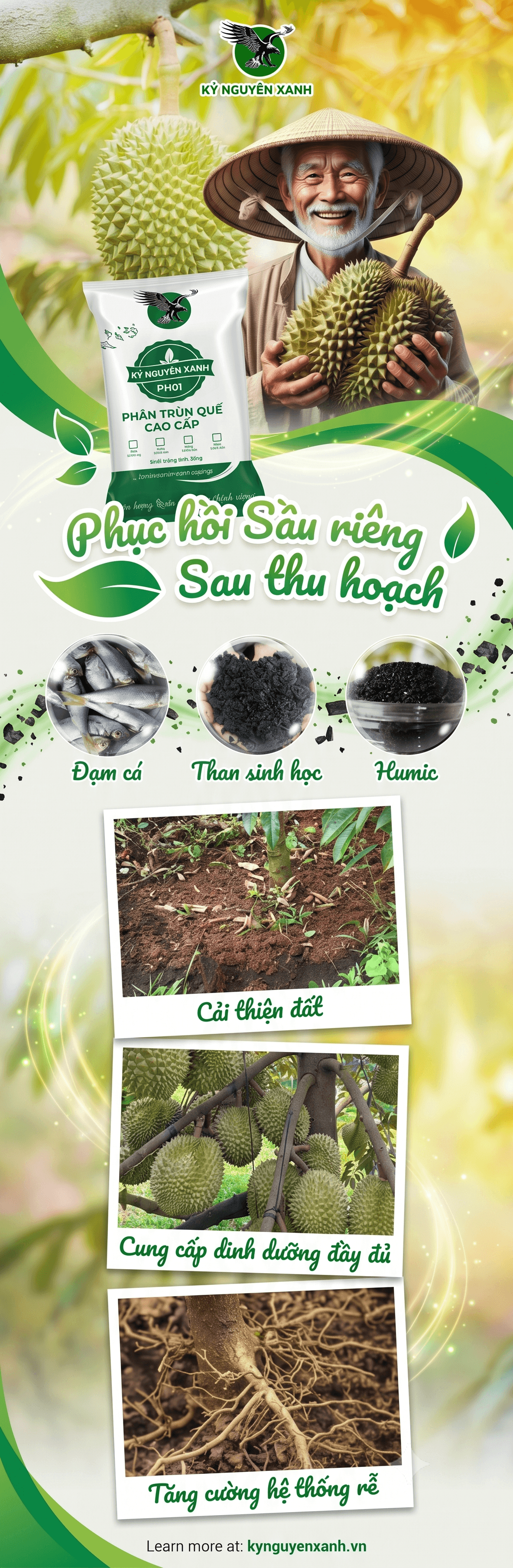Sầu Riêng Bao Ăn Sài Gòn